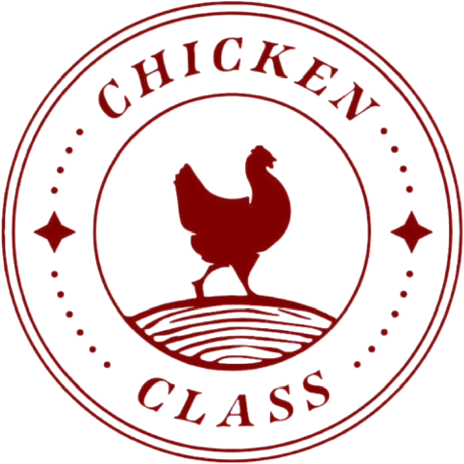 Chicken Class